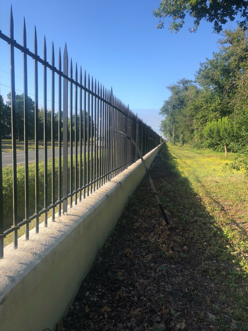 5C15D38D-89C5-4FD1-A8D6-60F45E219960.jpg_0807200945_3