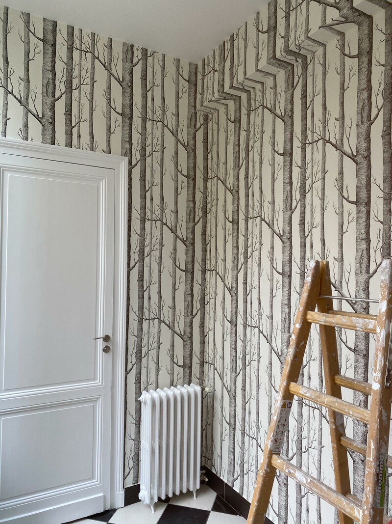 IMG_0736.jpeg_2502211649_2