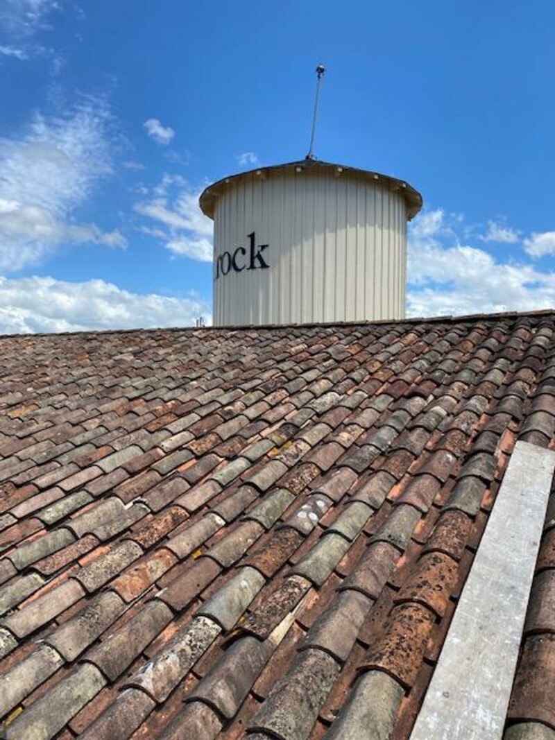 64597109959__09613A20-69BF-4522-A7F0-0645155A3BA1